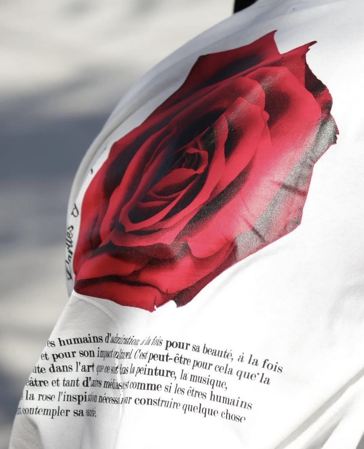 Detalhe – rosa vermelha na camiseta